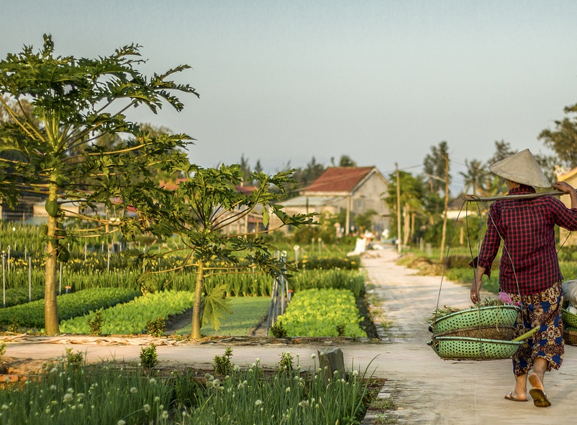 2026材料、工程管理与矿山工程国际会议