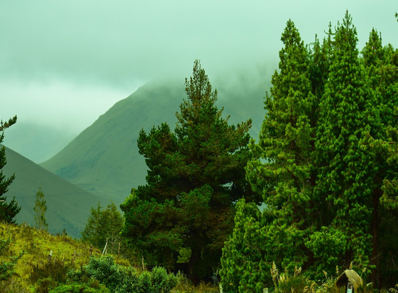 2026制造、材料与固体力学国际会议
