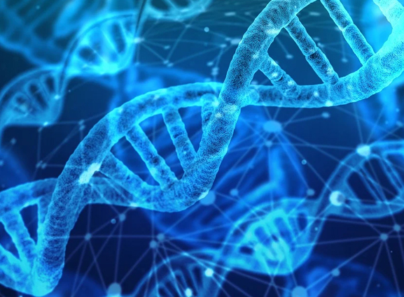 2026生物学、农业与畜牧业国际会议